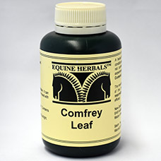 Comfrey Leaf