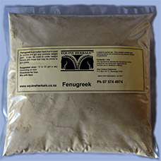 Fenugreek